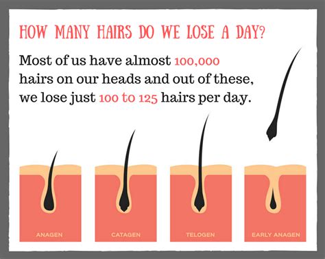 How many hair can break in a day?