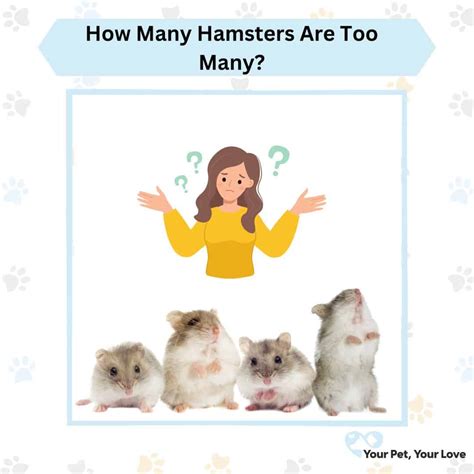 How many hamsters is too many?