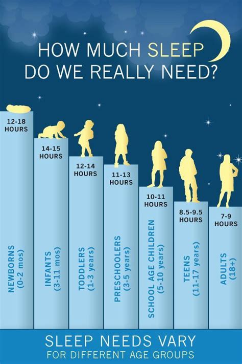 How many hours should I stay with my dog?