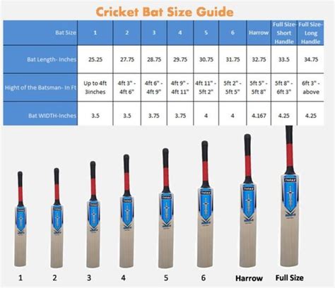 How many knocks does a cricket bat need?
