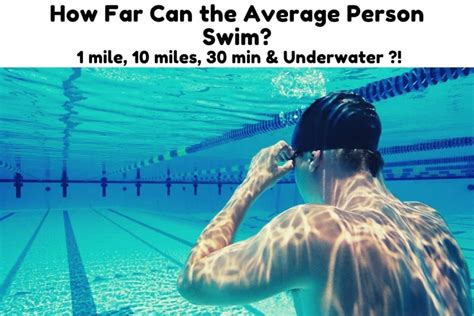 How many laps can an average person swim in 30 minutes?