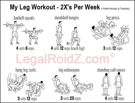 How many leg presses should I do?