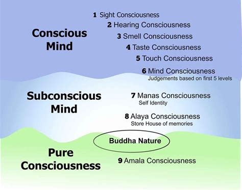 How many levels of consciousness are there?
