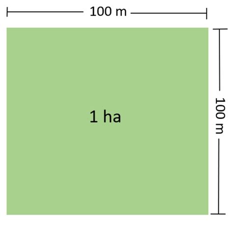 How many meters means 1 hectare?