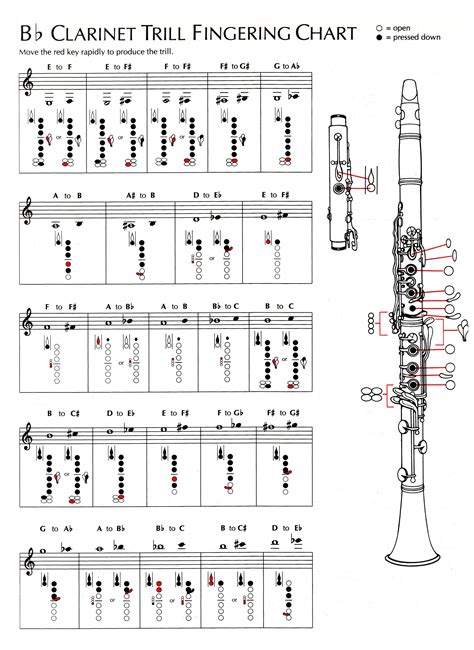 How many notes can B flat clarinet play?