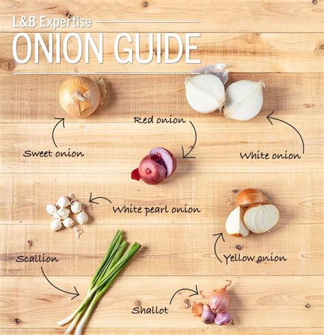 How many onions is 1lb onion?
