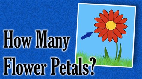 How many pedals are on a flower?
