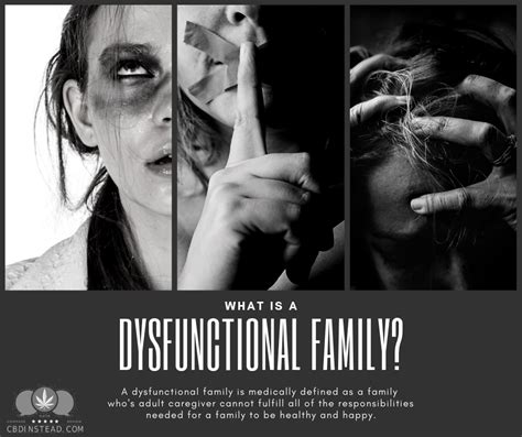 How many people come from a dysfunctional family?