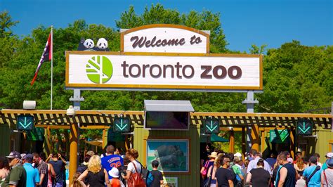 How many people go to Toronto Zoo?