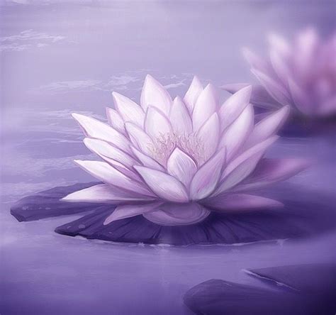 How many petals are in a lotus?