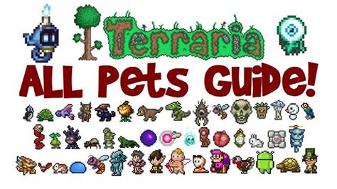 How many pets in Terraria?