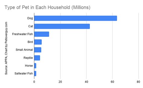 How many pets is too many for a single person?