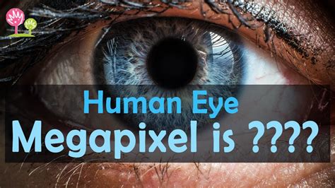 How many pixels is the human eye?
