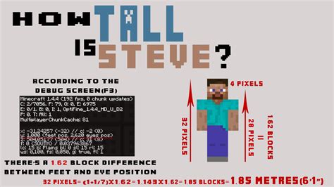 How many pixels tall is Steve?