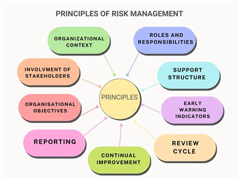 How many risk principles are there?