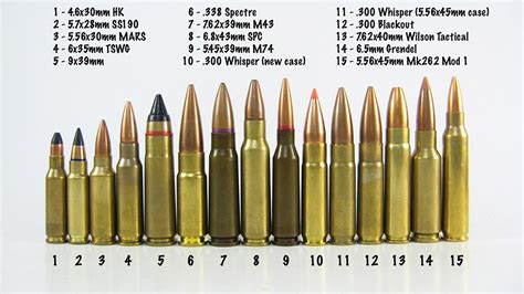 How many rounds are in AR-15?