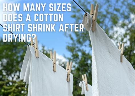 How many sizes does cotton shrink?