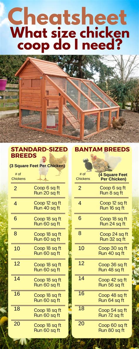 How many square feet is a coop?