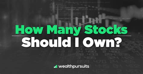 How many stocks should I own?