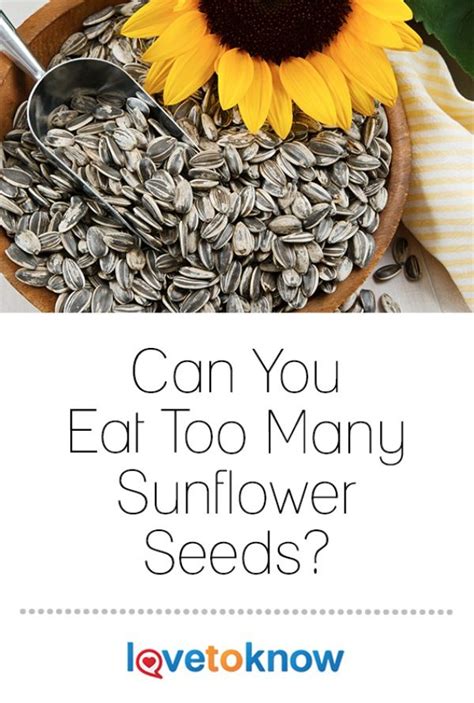 How many sunflower seeds can I eat a day?