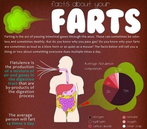 How many times a day does the average person fart?