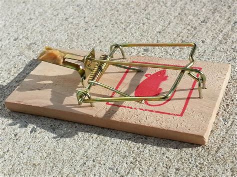 How many times can you use the same mouse trap?