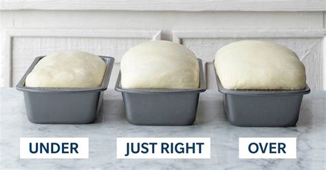 How many times should dough rise before baking?