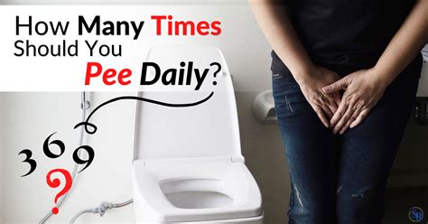 How many times should you pee a day?
