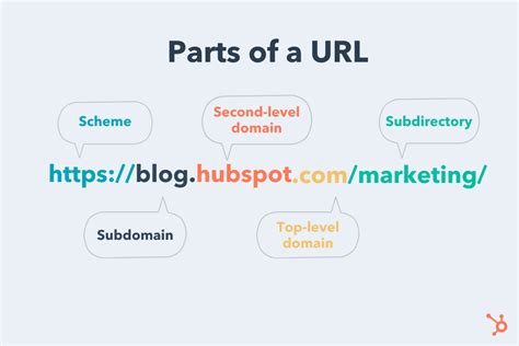 How many types are available in URL?