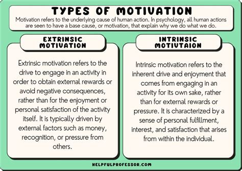 How many types of motivators are there?