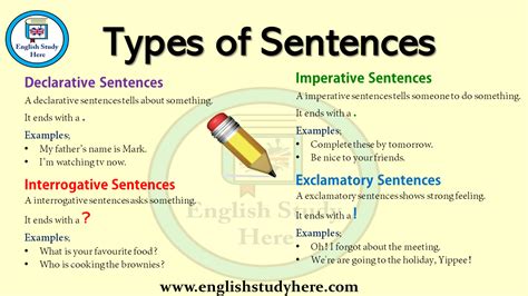 How many types of simple sentences are there in English?