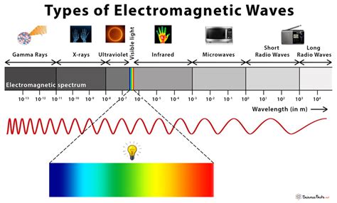 How many types of waves can we see?