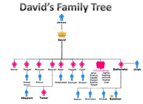 How many wives did David have?