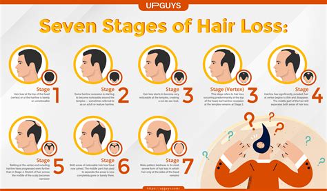 How many years does hair loss last?