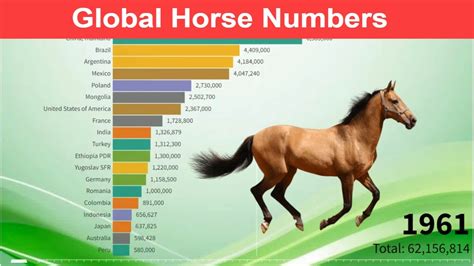 How many years does horses live?