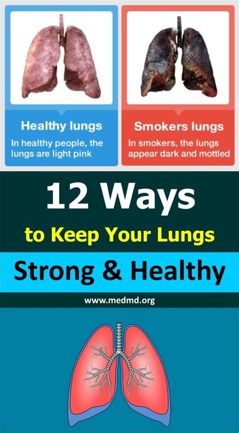 How many years does it take to clear your lungs from smoking?