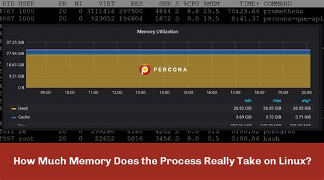 How much RAM does Linux use?