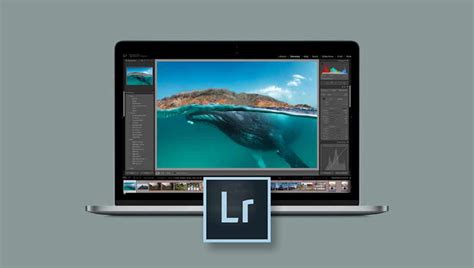 How much RAM should Lightroom use?