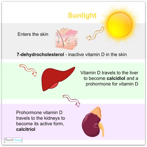 How much UV does it take to make vitamin D?