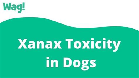 How much Xanax will calm a dog?