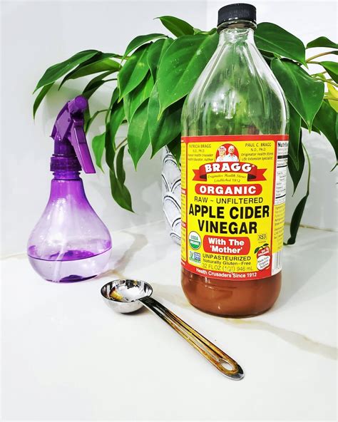 How much apple cider vinegar to keep mice away?