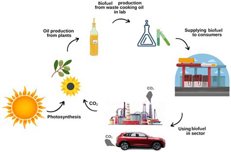 How much biodiesel is produced from vegetable oil?