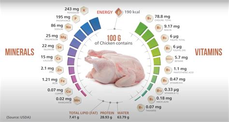 How much chicken a day for muscle?