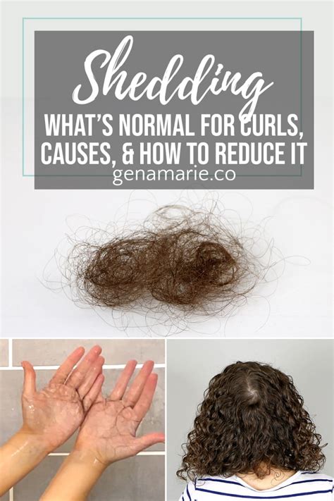 How much curly hair is normal to lose?