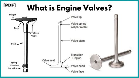 How much cut does Valve take?