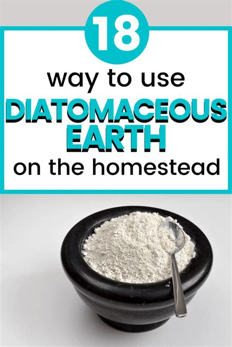 How much diatomaceous earth do I mix with water?