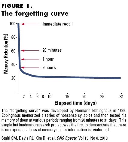 How much do we forget in 24 hours?