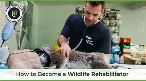 How much do wildlife rehabilitators make in Canada?