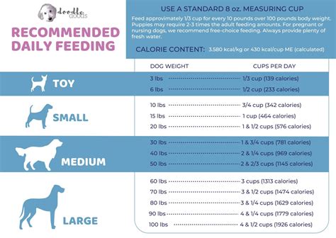 How much do you feed a 4 week old puppy?