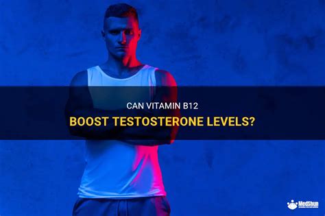 How much does B12 increase testosterone?